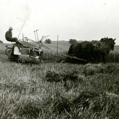 Farm Scenes
