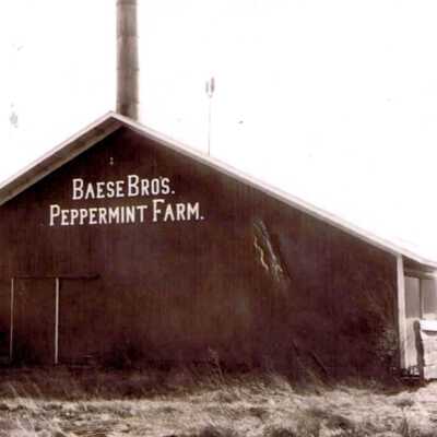 Basse Brothers Peppermint Farm