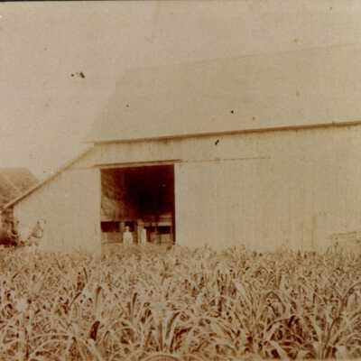 Krebel Farm