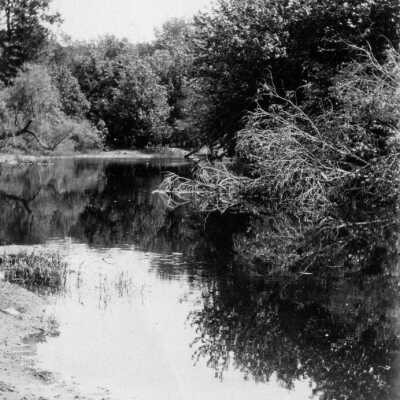 Looking Glass River