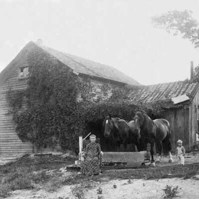 Viges Homestead