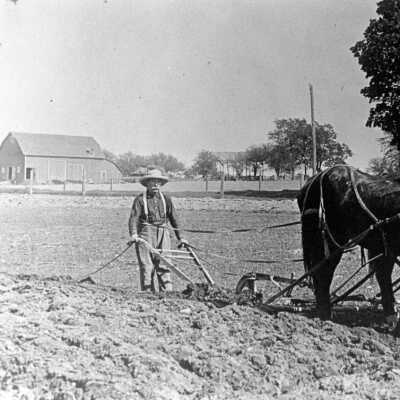 Cutler Farm