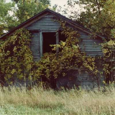 Rosevale Barns