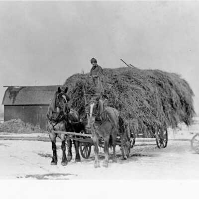 Staub Farm