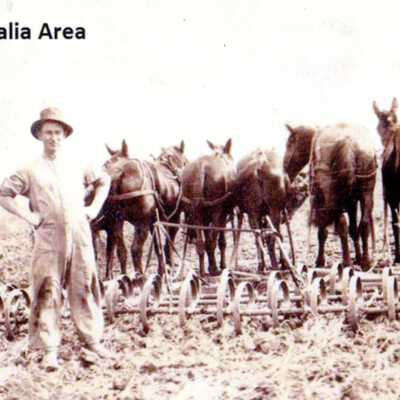 Joseph Hanses with drag and horses