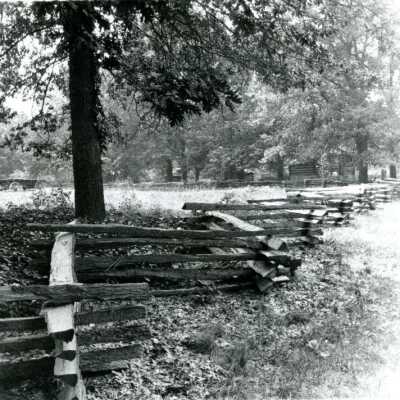 Split Rail Fence