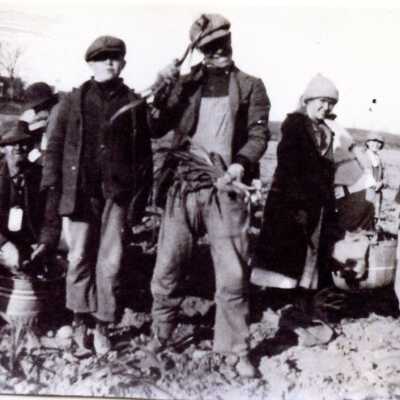 Vaughn Seed Company