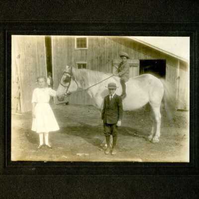 Brace Farm