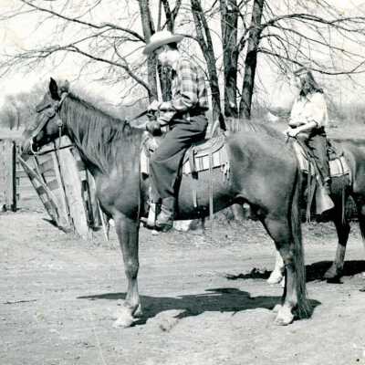 St. Johns Horse Auction