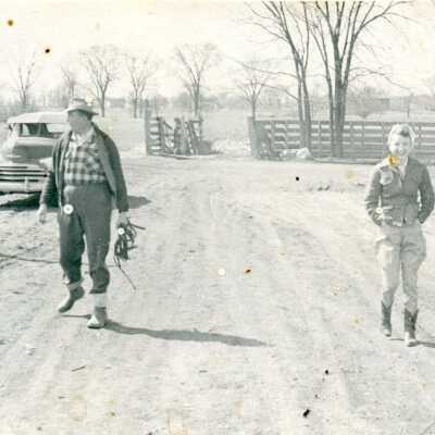 St. Johns Horse Auction