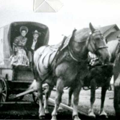 O'Connor Team of Horse