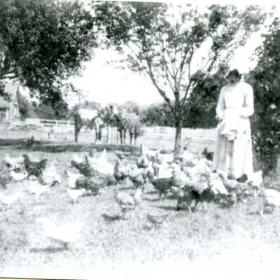 Coleman Farm
