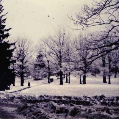MAC Winter on Campus the Next Day