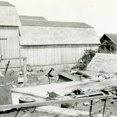 Farm Scene