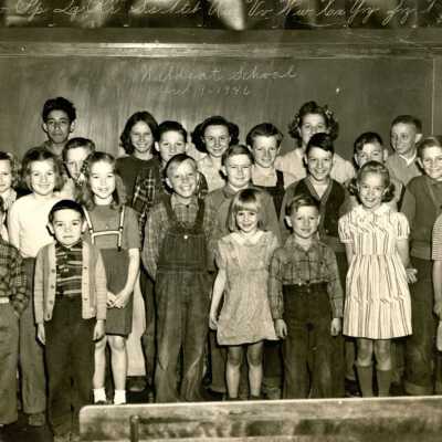 Wildcat School