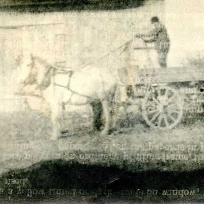 Man with Horses and Wagon