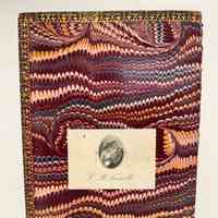 Book Cover / The Flowering Plants And Ferns Of Great Britain / Anne Pratt
