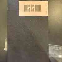 This is Bad / Lindsey Anne baker