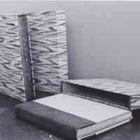 Photo of two books with their cases