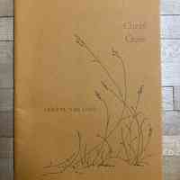 Cheat Grass / Cheryl Van Dyke