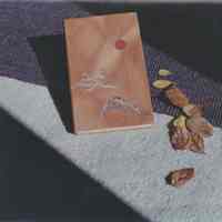 Photo of a book with leaves nearby