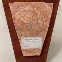 The Snails / by Patricia Highsmith