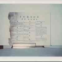 Photo of part of a damaged index page