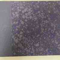 Today I worked well-the picture fell off the brush / Malcolm Yorke