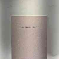 The Dream Thief / Lynne Burris Butler / Bradypress
