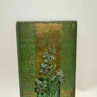 Book Cover / The Water-Babies / Charles Kingsley