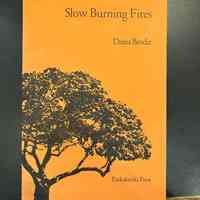 Slow Burning Fires / Diana Brodie
