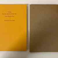 The Blue Mustache / Felix Stefanile