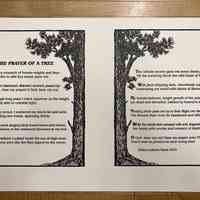 The Prayer of a Tree / Helen Lukens Gault