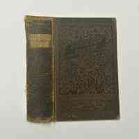 Book Cover / Robinson Crusoe / Daniel Defoe