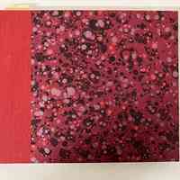 My Brush is My Sword: Anthony Gross, War Artist / Julian Francis