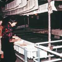 Scan of a slide showing book conservation