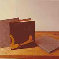 Photo of a book and its case