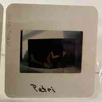 Photo of a book with a black and gold cover