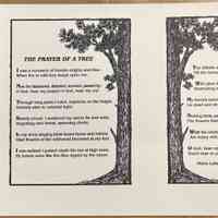 The Prayer of a Tree / Helen Lukens Gaut