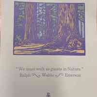 "We must walk as guests in Nature." / Ralph Waldo Emerson