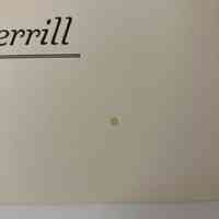          An upward look, a downward look / James Merrill picture number 2
   