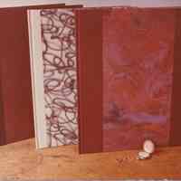 Photo of 3 standing books