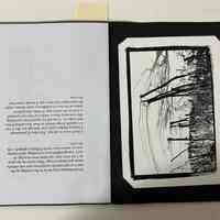          Paper Lenses / Erl Press (H. Alder) picture number 4
   