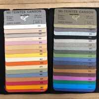 MI-Teintes Canson - No. 425.