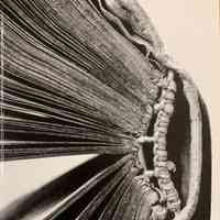 The New bookbinder . V.19 : 1999