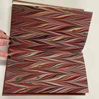          Vanessa Hardy The Helen Fragments picture number 16
   