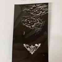 Hoole Acanthus Leaf Flourish and Flowering Vine Film Transparency