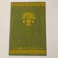 Book Cover / Spring / Sophia Cleugh