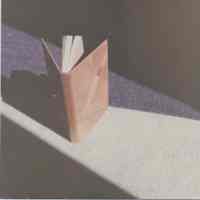 Photo of a standing book