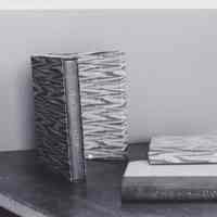 Two books and their book cases